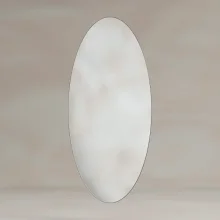 OSL-00V451-BN--B04-oslo-oval-mirror-45x100cm-brushed-nickel.webp
