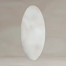 OSL-00V451-BZ--B04-oslo-oval-mirror-45x100cm-brushed-bronze.webp