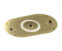 Artize Rainjoy+ Gold Dust 4 Function Digital Shower Head