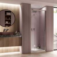 Pinnacle_8_-_Hinged_Shower_Door_for_RecessLH.jpg