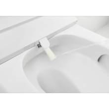 Roca-Inspira-In-Wash-In-Tank-BTW-Smart-Toilet-Nozzle.jpg