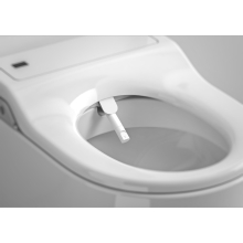 Roca-Inspira-In-Wash-Wall-Hung-Smart-Toilet-Bidet.jpg