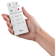 Roca-Inspira-Remote-in-Hand.jpg