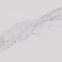 Splashpanel Premium Calacatta Marble Gloss PVC Wall Panel - SPRE01