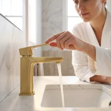 SWBR031-3.webp