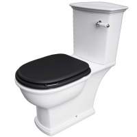 Washington Close Coupled Open Back Lever Flush WC with Soft Close Seat Black - RAK Ceramics 