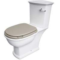 Washington Close Coupled Open Back Lever Flush WC with Soft Close Seat Cappuccino - RAK Ceramics 