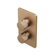 Abacus EZ Box 2.0 Brushed Bronze 2 Outlet Shower Valve with ISO Pro Handles