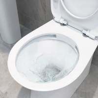 Campbell Rimless Back To Wall Toilet & Soft Closed Seat