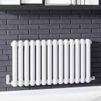 Cassius 550 x 993mm Designer Radiator White - DQ Heating