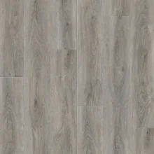 Standard-Plank-min-scaled-1.jpg