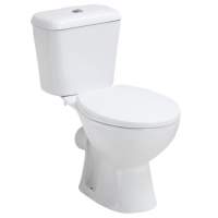 Kartell Proton Rimless Toilet With Soft Close Seat
