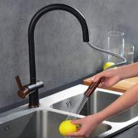 Dual Spout Spring Pull Out Kitchen Tap