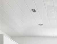 Neptune 250 White Chrome Strip - PVC Plastic Wall & Ceiling Cladding - 2.6m - 4 Pack