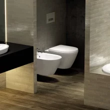 RAK Compact Wall Hung Pan & Seat 