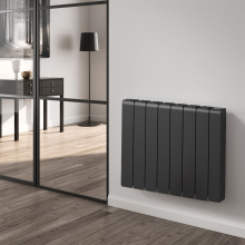 reina-aron-black-570x360-radiator-lifestyle.jpg