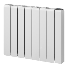 reina-aron-radiator-tech.jpg