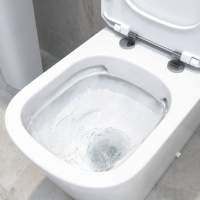 Campbell Rimless Wall Hung Toilet & Soft Closed Seat