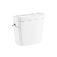 Roca Carmen Dual Flush Cistern with Bottom Inlet