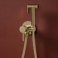 K-VIT Brushed Brass Douche Kit with Thermostatic Mixing Valve and Spray Head