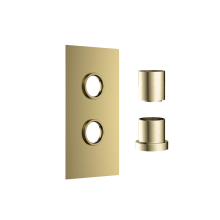 Scudo Brushed Brass Double Concealed Plate with Sleeves
