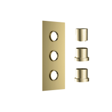 Scudo Brushed Brass Triple Concealed Plate with Sleeves