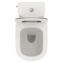 tesi-open-back-wc-cutout-5.webp