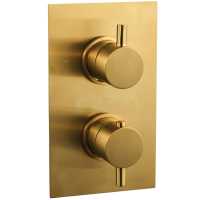 Niagara Equate Brushed Brass Twin Concealed Shower Valve - Single Outlet
