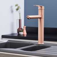 Francis Pegler Jeroni Horizontal 2 Handle Copper Kitchen Mixer Tap - Comap