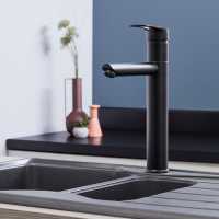 Shannon Twin Lever Kitchen Mixer Tap - Copper