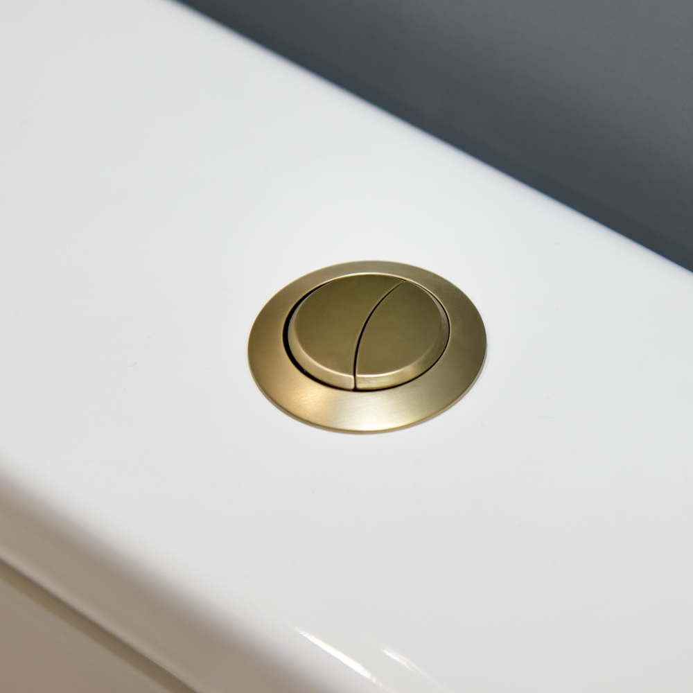 Anatra Brushed Brass Dual Flush Push Button Cover (Cable)