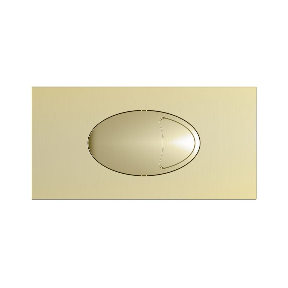 Large Brushed Brass Dual Flush Button and Access Panel - Scudo