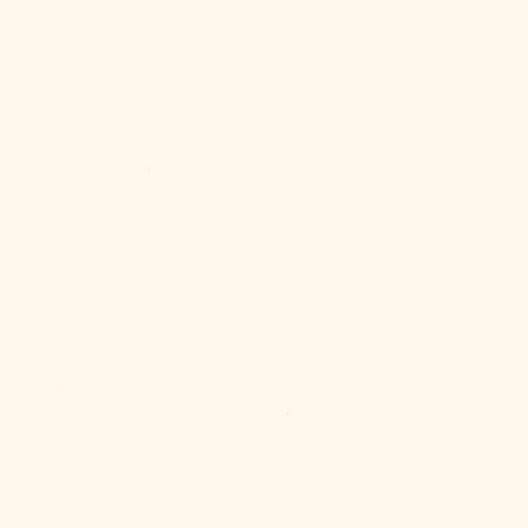 Neptune 250 - Cream Gloss - PVC Plastic Wall & Ceiling Cladding - 2.6m - 4 Pack