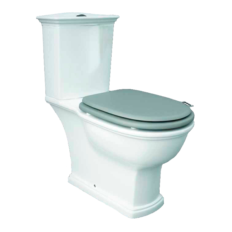 Washington Close Coupled Open Back Push Button Flush WC with Soft Close Seat Grey - RAK Ceramics