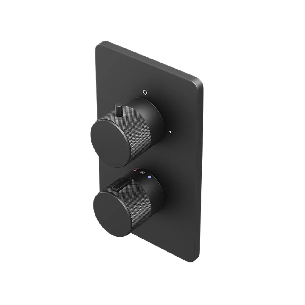 Abacus EZ Box 2.0 Matt Black 2 Outlet Shower Valve with ISO Pro Handles