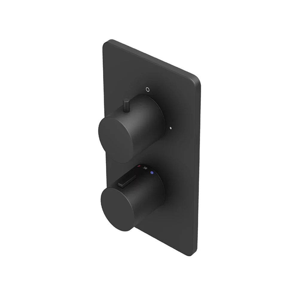 Abacus EZ Box 2.0 Black 2 Way Shower Valve with Square Handles