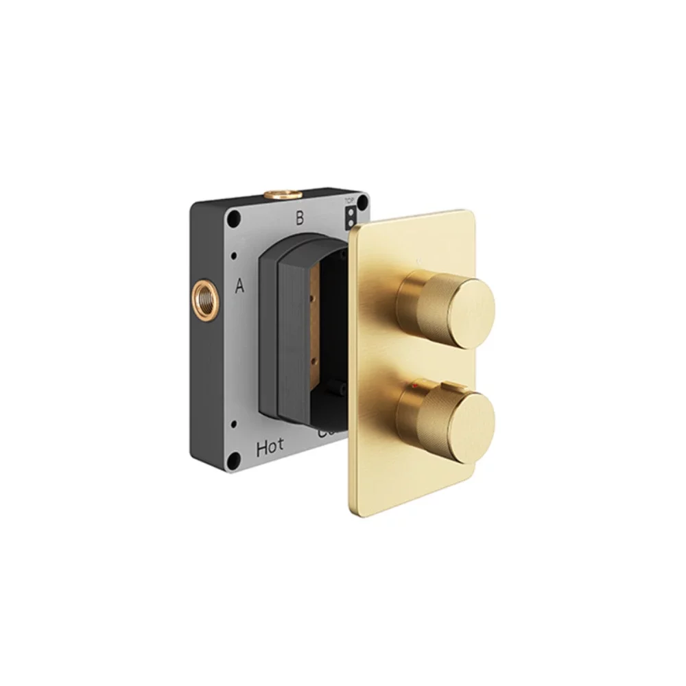 Abacus EZ Box 2.0 Brushed Brass Thermostatic 2 Way Shower Valve with ISO Pro Handles