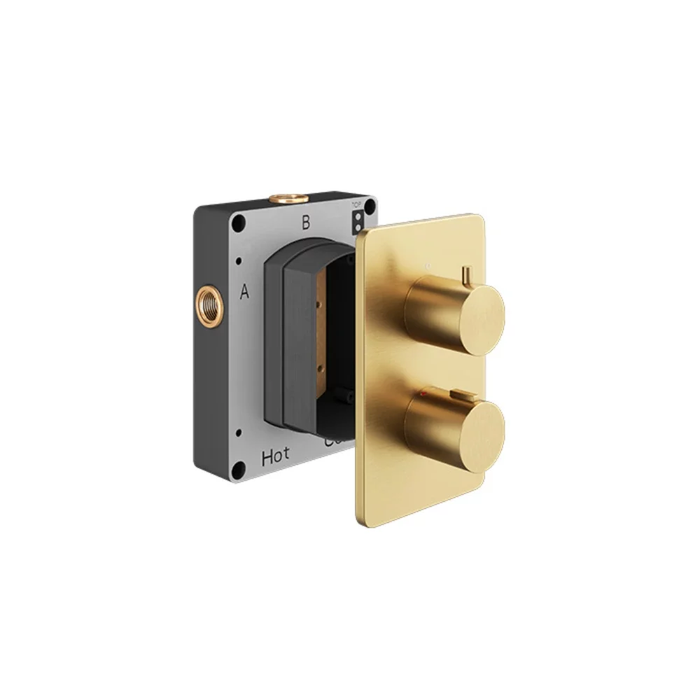 Abacus EZ Box 2.0 Brushed Brass Thermostatic 2 Way Shower Valve with Round Handles