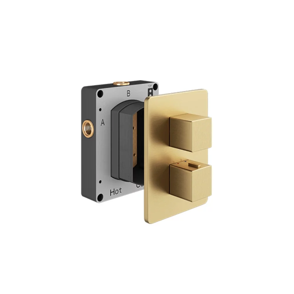 Abacus EZ Box 2.0 Brushed Brass Thermostatic 2 Way Shower Valve with Square Handles