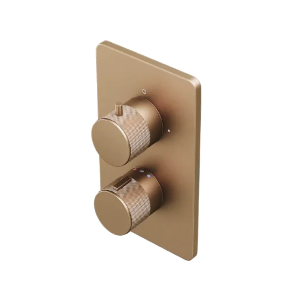 Abacus EZ Box 2.0 Brushed Bronze 2 Outlet Shower Valve with ISO Pro Handles