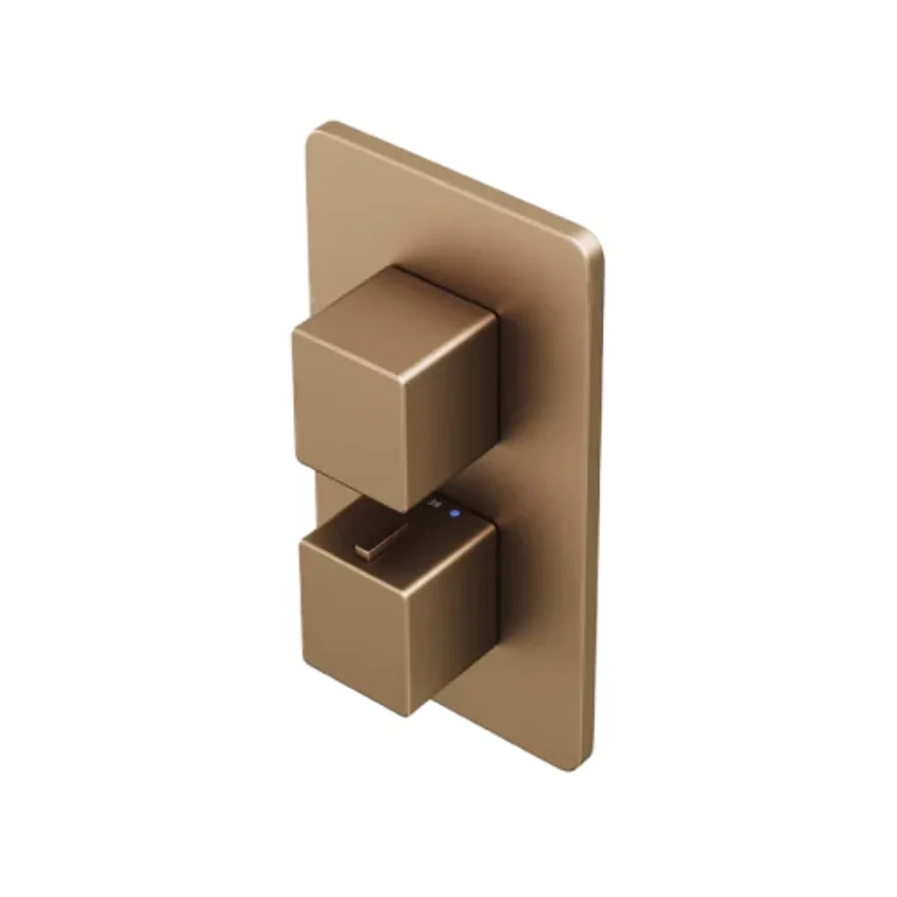 Abacus EZ Box 2.0 Brushed Bronze 2 Outlet Shower Valve with Square Handles