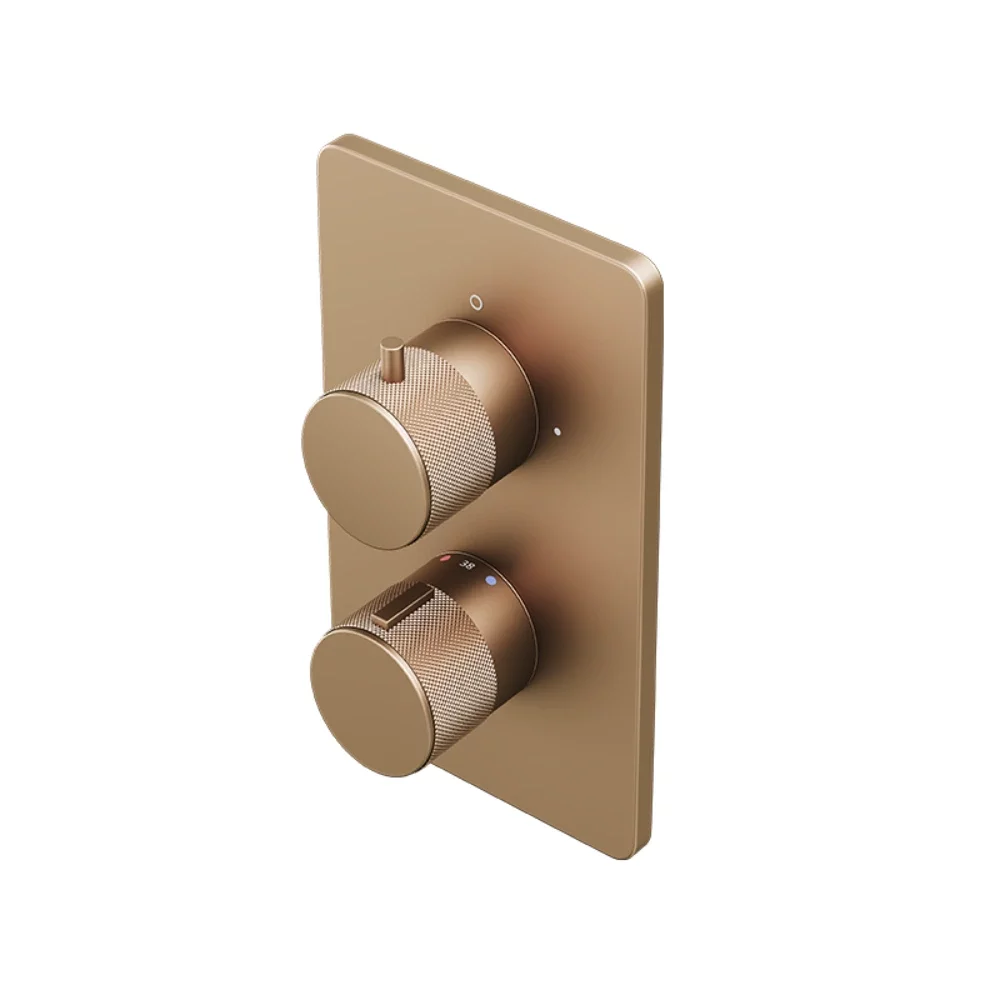 Abacus EZ Box 2.0 Brushed Bronze Shower Valve with ISO Pro Handles