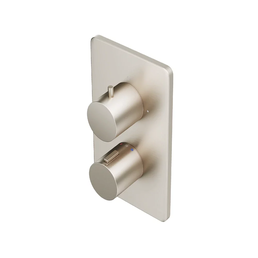 Abacus EZ Box 2.0 Brushed Nickel 1 Way Shower Valve with Round Handles