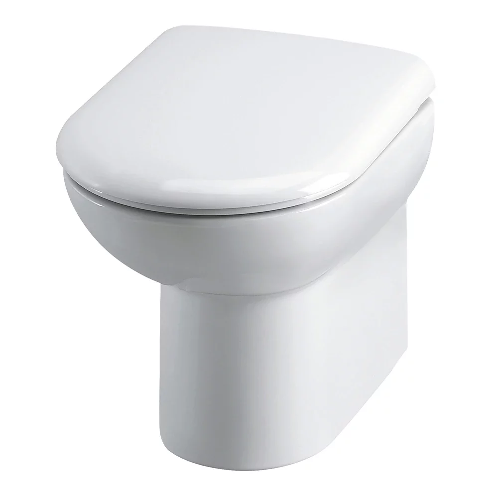 Hudson Reed D Shape Back to Wall Toilet & Seat