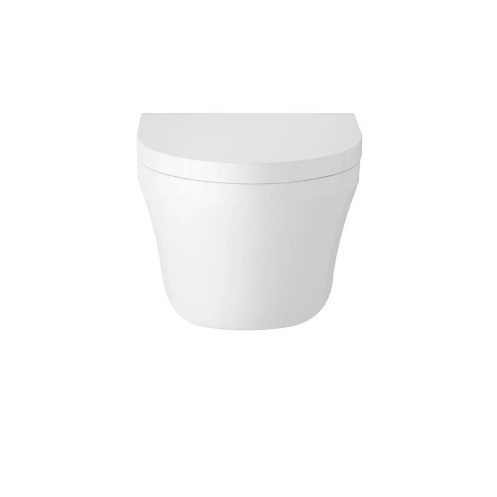 Hudson Reed Wall Hung Toilet & Seat