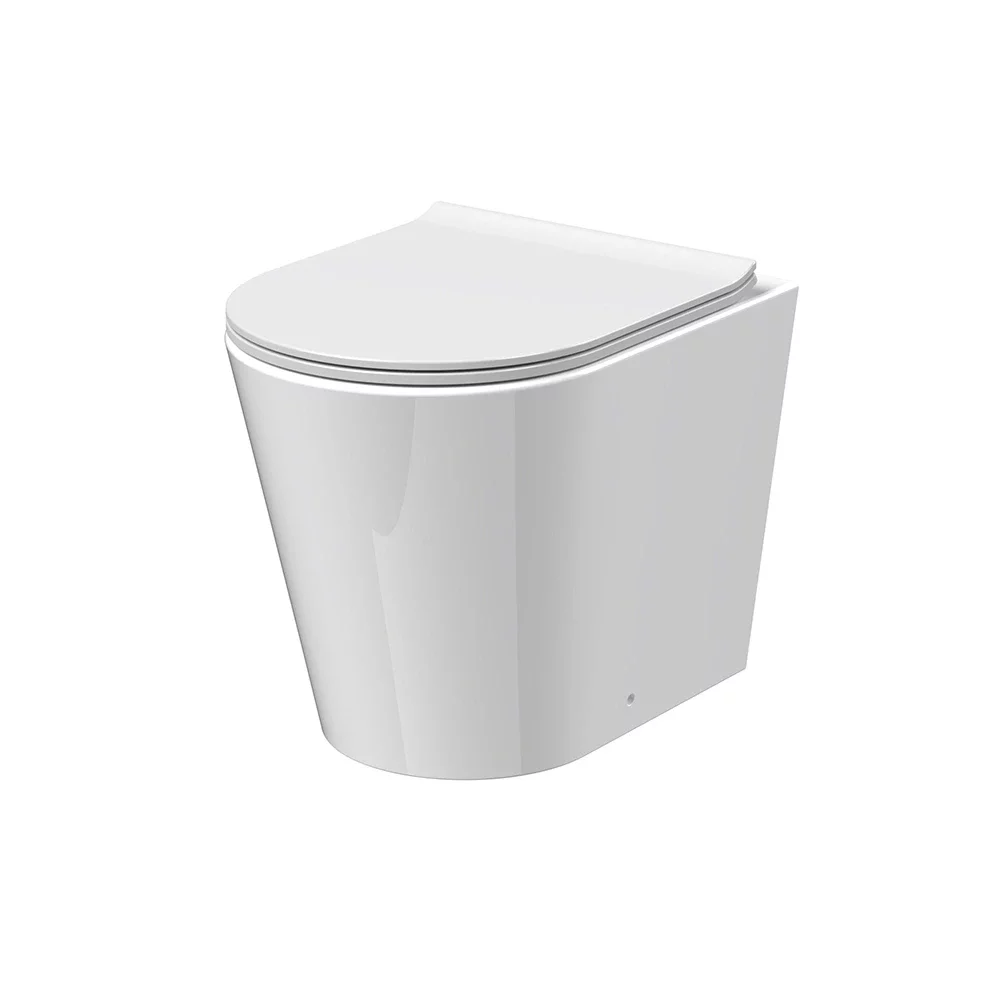 Nuie Fenton Rimless Back To Wall Toilet & Seat