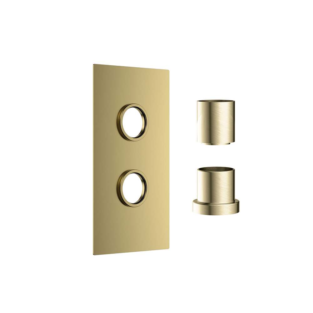 Scudo Brushed Brass Double Concealed Plate with Sleeves