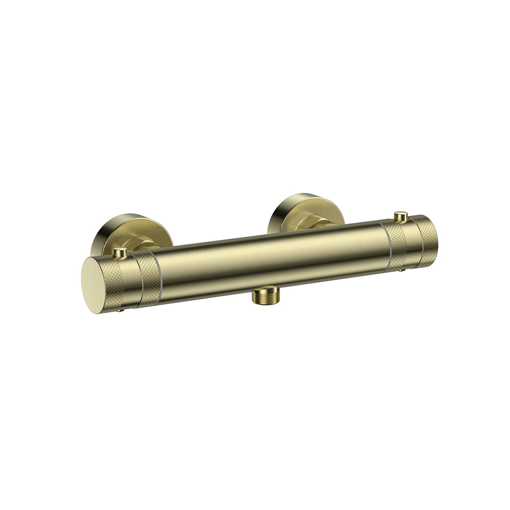 Scudo Core Brushed Brass Exposed Valve