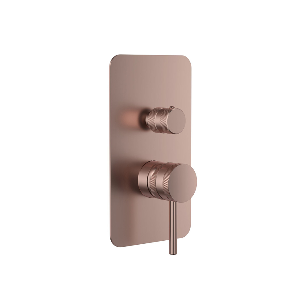 Scudo Core Brushed Bronze Concealed Manual Dual Outlet