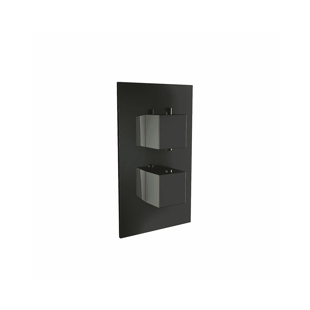 Scudo Matt Black Dual Handled Concealed Valve